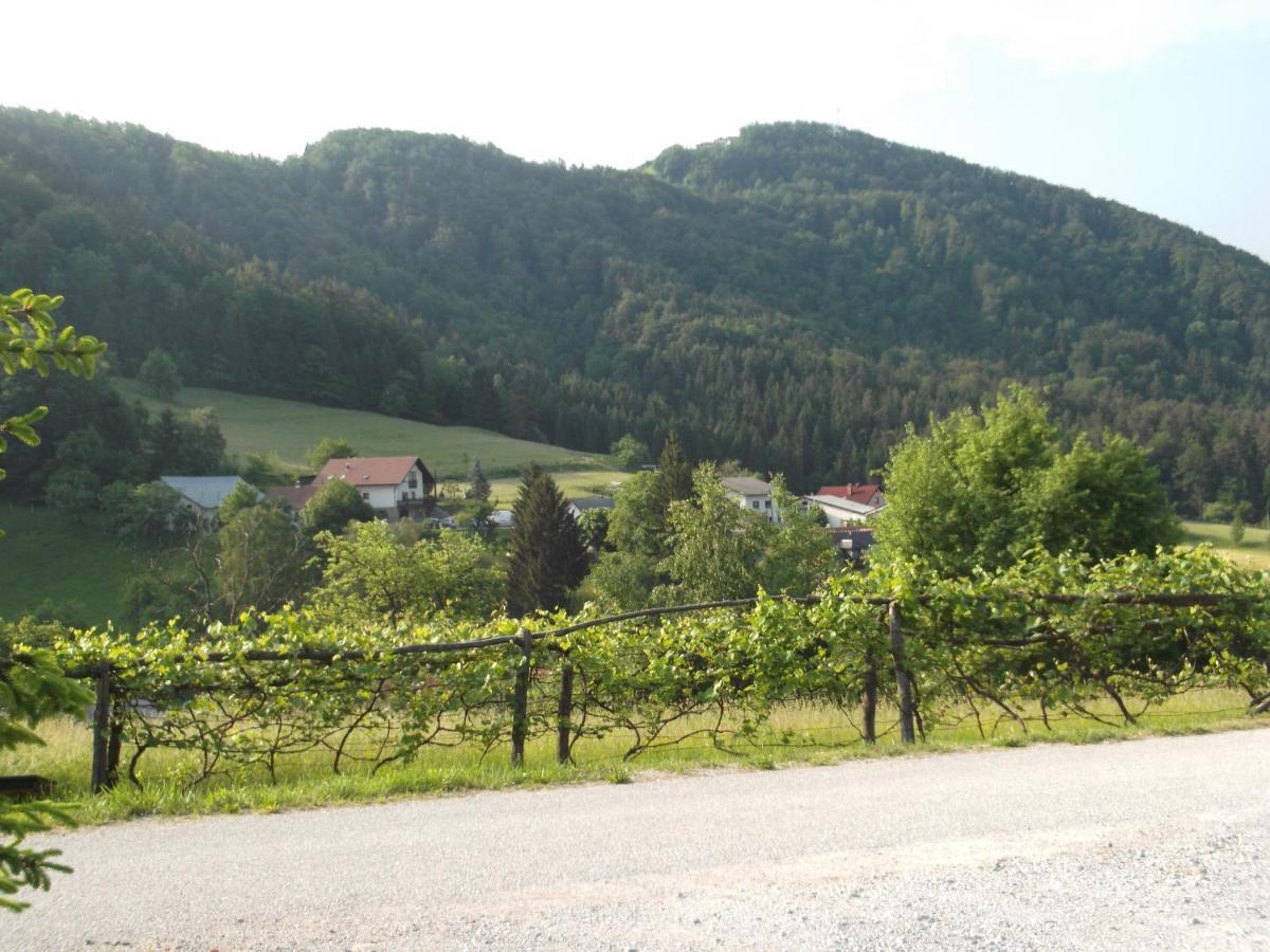 Hillside Bio Glamping Campingplatz Prebold