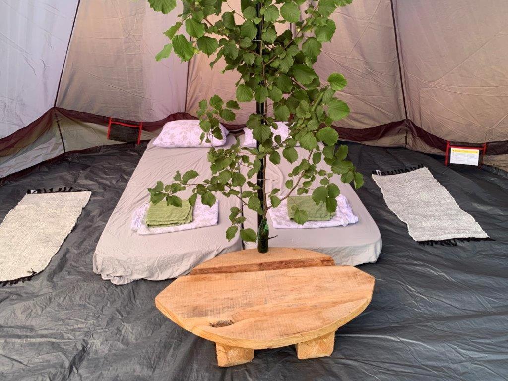 Campingplatz Hillside Bio Glamping