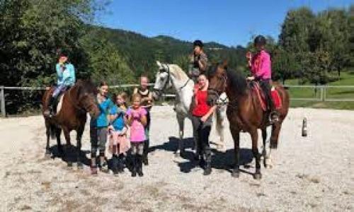 Camping Hillside Bio Glamping Prebold