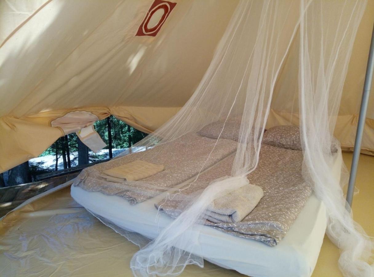 Campingplatz Hillside Bio Glamping Prebold